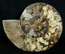 Giant Inch Split Ammonite Pair #3755-2